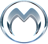 Medallion IS Logo