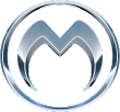 Medallion IS Logo